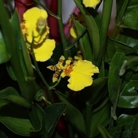 2009.05.13-021.JPG