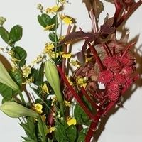 2009.05.13-022.JPG