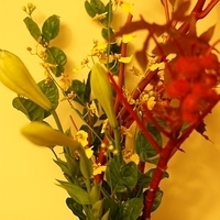 2009.05.13-023.JPG