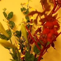 2009.05.13-024.JPG