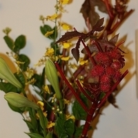 2009.05.13-025.JPG