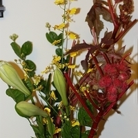 2009.05.13-026.JPG