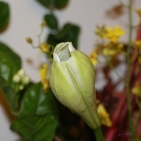 2009.05.13-027.JPG
