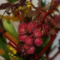 2009.05.13-028.JPG