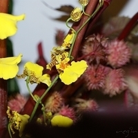 2009.05.13-029.JPG