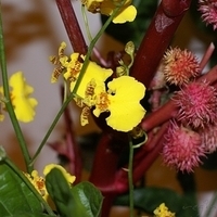2009.05.13-032.JPG