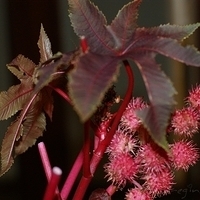 2009.05.13-036.JPG