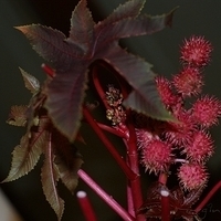 2009.05.13-038.JPG