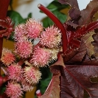 2009.05.13-039.JPG