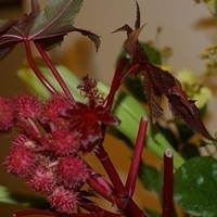 2009.05.13-040.JPG