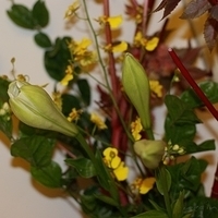 2009.05.13-042.JPG
