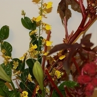 2009.05.13-043.JPG