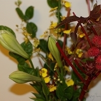 2009.05.13-044.JPG