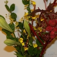 2009.05.13-045.JPG