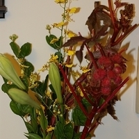 2009.05.13-046.JPG