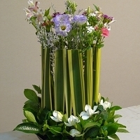2010.05.14-001.JPG