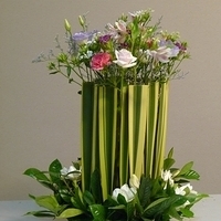 2010.05.14-003.JPG