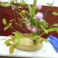 2009.05.19-001.JPG