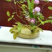 2009.05.19-003.JPG