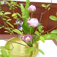 2009.05.19-004.JPG