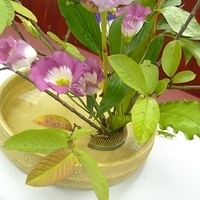 2009.05.19-005.JPG