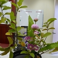 2009.05.19-006.JPG