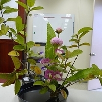 2009.05.19-007.JPG