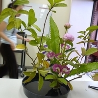 2009.05.19-008.JPG