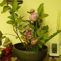 2009.05.19-009.JPG