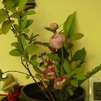 2009.05.19-010.JPG