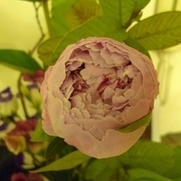 2009.05.19-012.JPG
