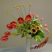 2010.05.21-003.JPG