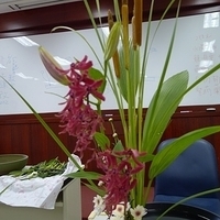 2009.05.26-002.JPG