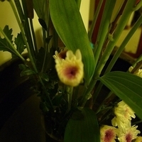2009.05.26-004.JPG
