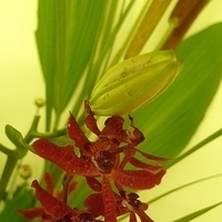 2009.05.26-005.JPG