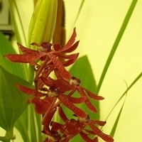 2009.05.26-007.JPG