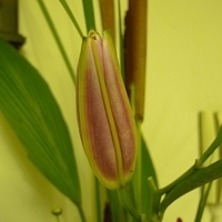 2009.05.26-008.JPG