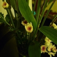 2009.05.26-009.JPG