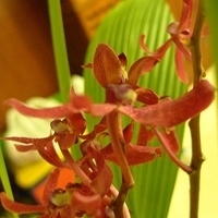 2009.05.26-010.JPG