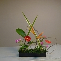 2010.05.28-001.JPG