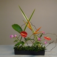 2010.05.28-002.JPG