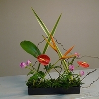 2010.05.28-003.JPG