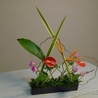 2010.05.28-004.JPG