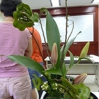 2009.08.25-003.JPG