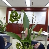 2009.08.25-004.JPG