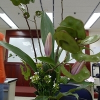 2009.08.25-005.JPG