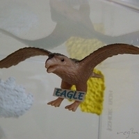 2007.05.31-016.JPG