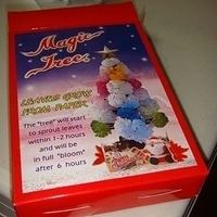 2008.12.06-003.jpg