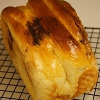 2014.01.23-006.JPG