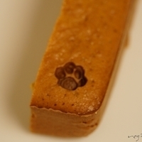 2015.04.02-006.JPG